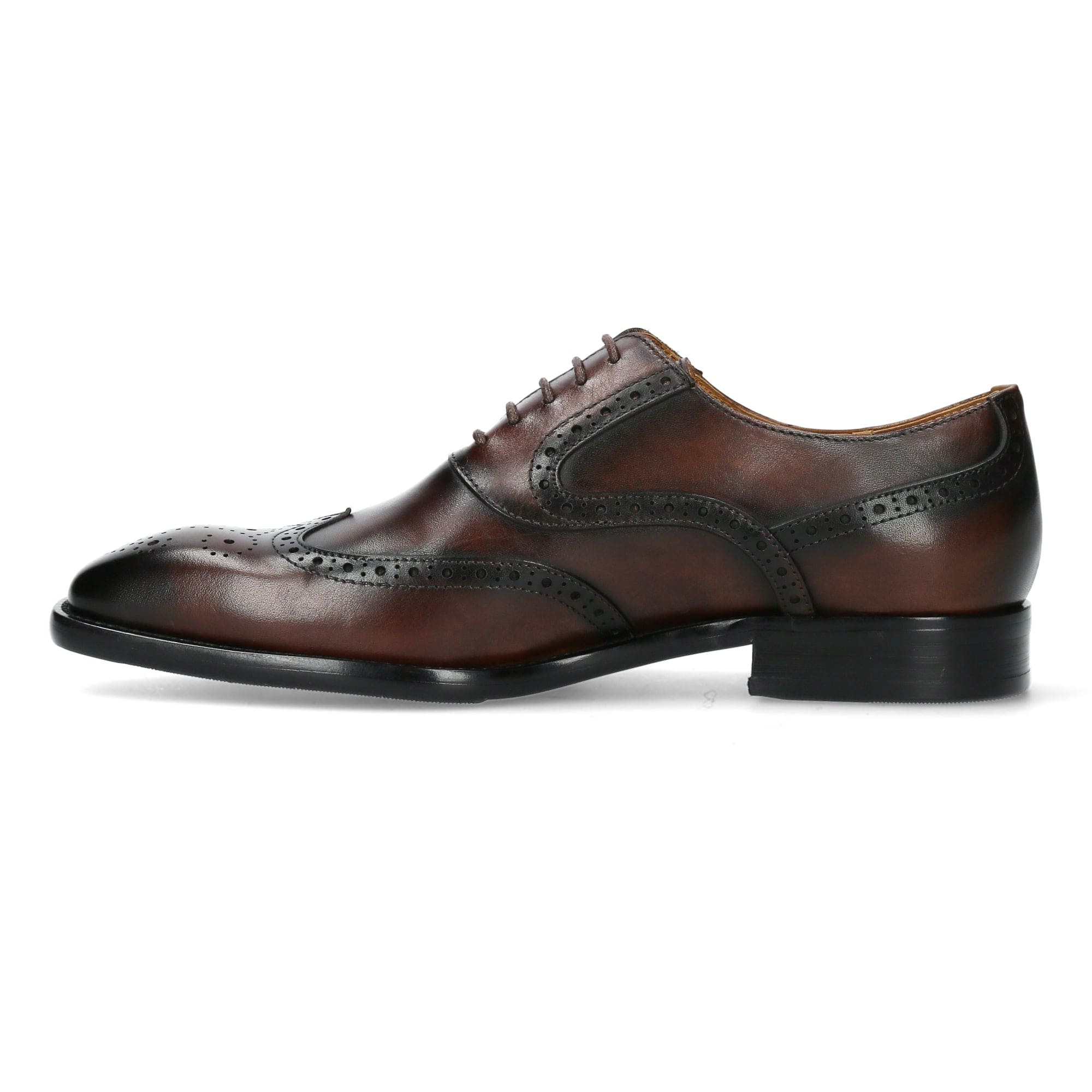 Chaussure Homme ALOYS 03 - Image 17